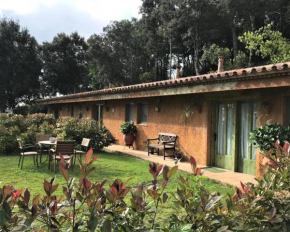 Alba 2-Bed Cottage - Sleeps 4 - Montseny Nature